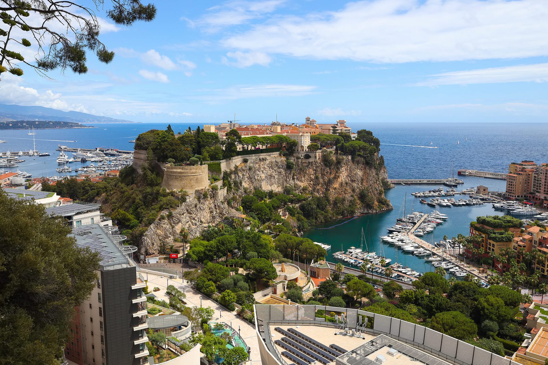 Monte Carlo